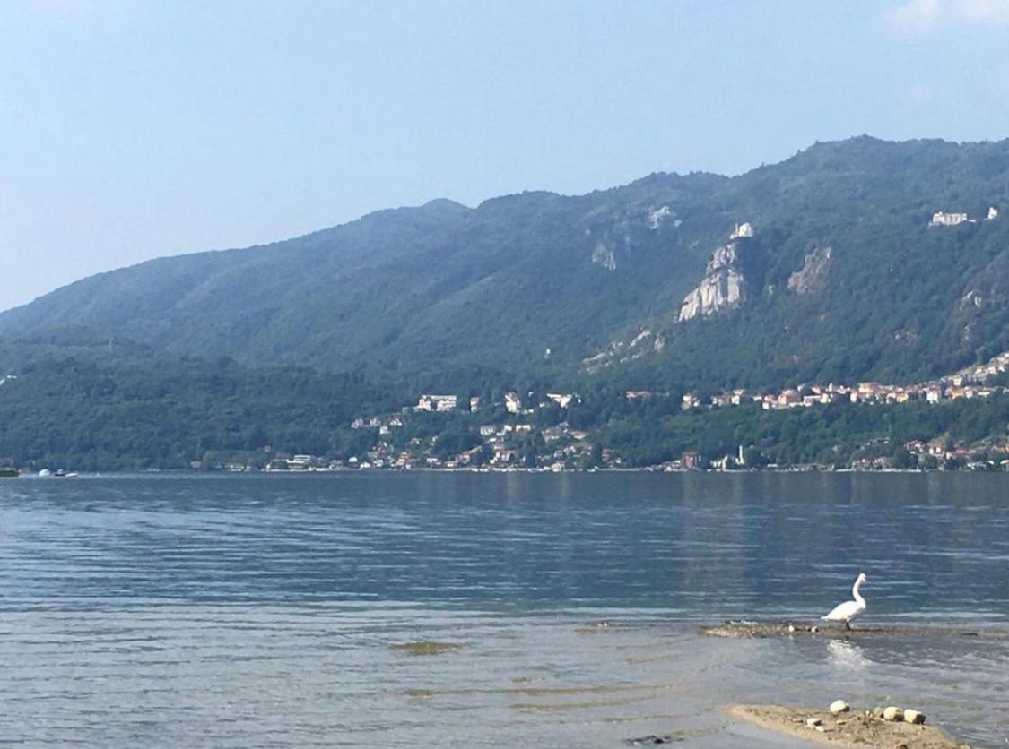 Casa Cesira Διαμέρισμα Pettenasco Εξωτερικό φωτογραφία