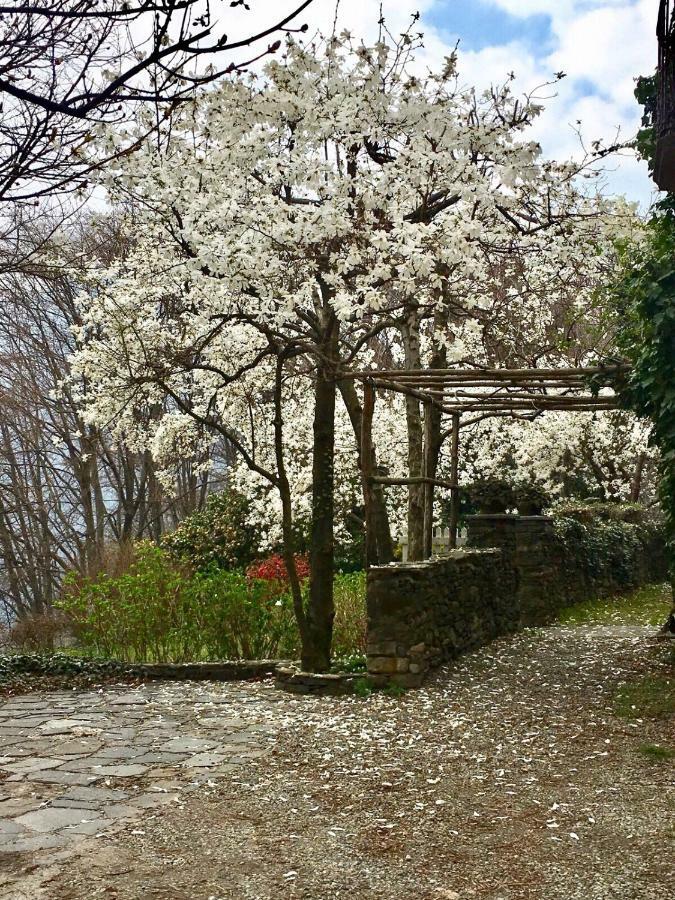 Casa Cesira Διαμέρισμα Pettenasco Εξωτερικό φωτογραφία